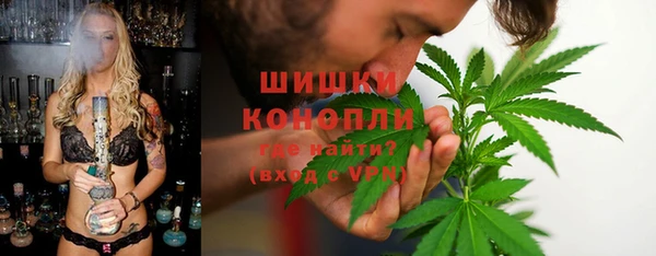 индика Липки