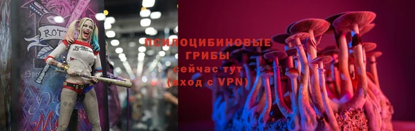 индика Липки