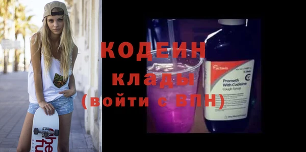 индика Липки