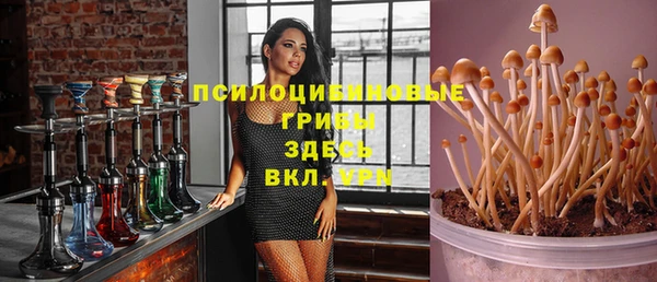 индика Липки