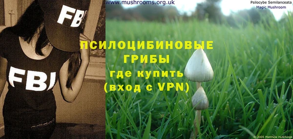 индика Липки