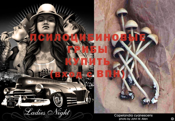 индика Липки