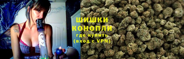индика Липки