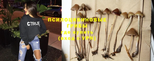ECSTASY Лихославль