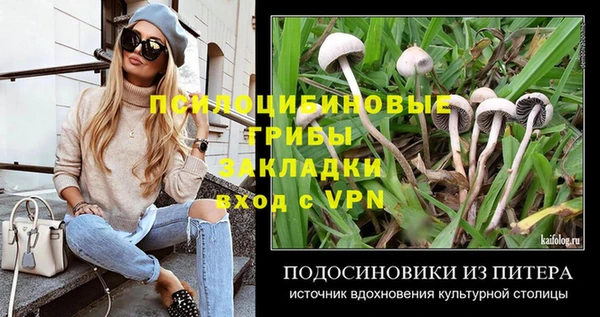 ECSTASY Лихославль