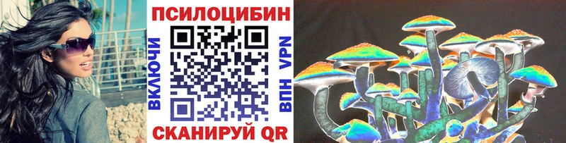 Купить закладки  Заволжье  Галлюциногенные грибы Magic Shrooms 