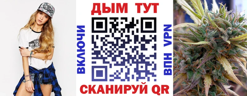 Купить где  Заволжье  Конопля Amnesia 
